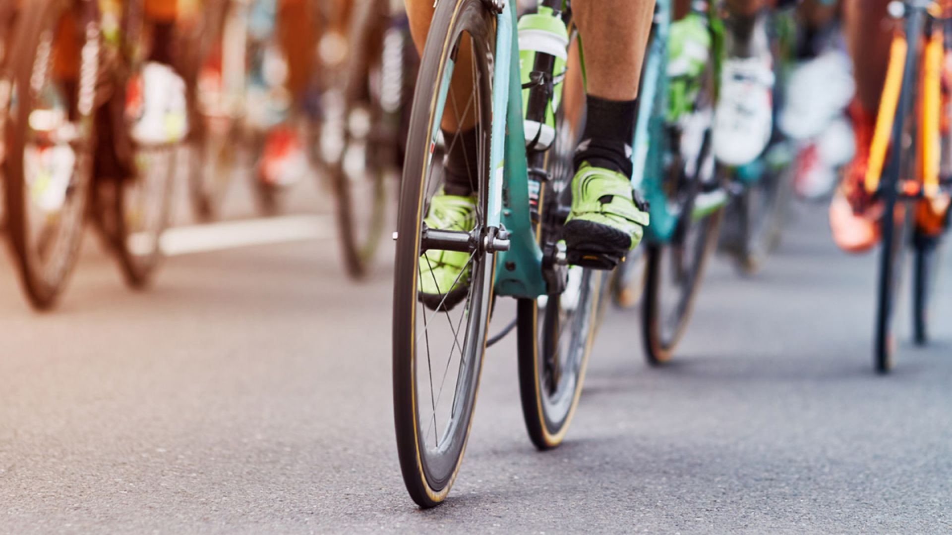 OFFERTA NOVECOLLI 2025
